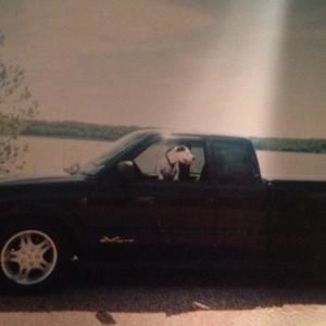 Meet your Posher, Josh